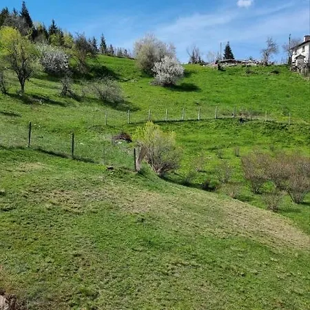 родопска с.чала Πανσιόν